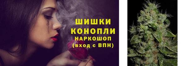 трава Алзамай