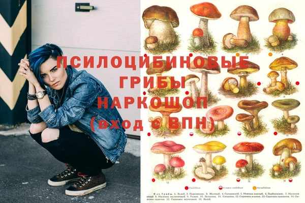 трава Алзамай