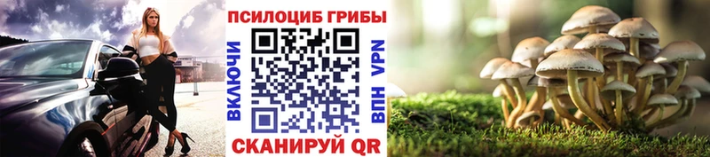 где можно купить   Морозовск  Псилоцибиновые грибы ЛСД 