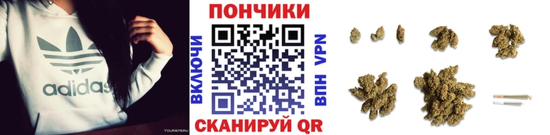 Конопля сатива Морозовск